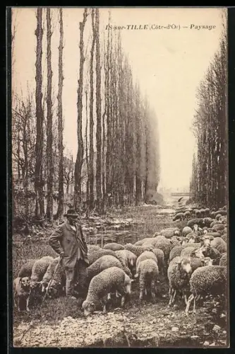 AK IS-sur-Tille, Paysage