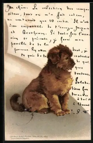Lithographie Junger Terrier, auf dem Boden sitzend