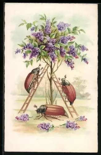 AK Maikäfer mit Leitern beim Fliederpflücken