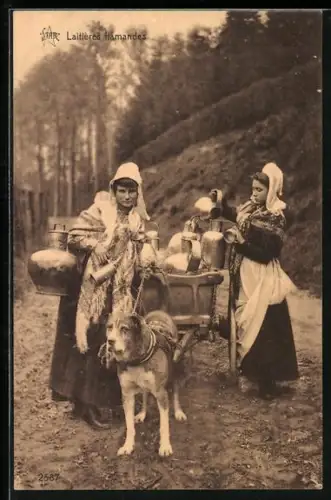 AK Laitières flamandes, Portrait