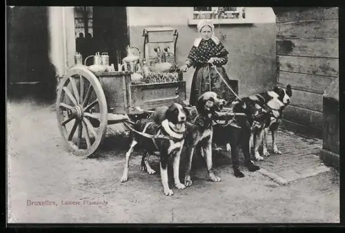 AK Bruxelles, Milch-Händlerin mit Hundegespann