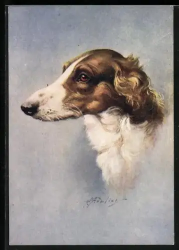 Präge-AK The Borzoi, Portrait