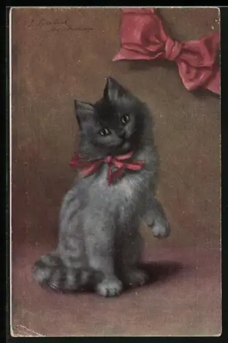 AK Junge Katze mit Schleife, Portrait