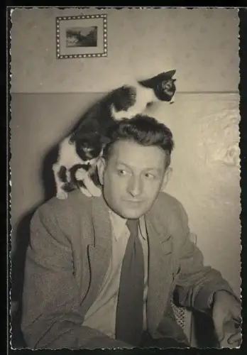 Foto-AK Kleine Katze beim Klettern auf der Schulter eines Herrn