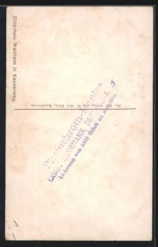 AK Kandersteg-Bütschels, Waldrand mit Kandersteg