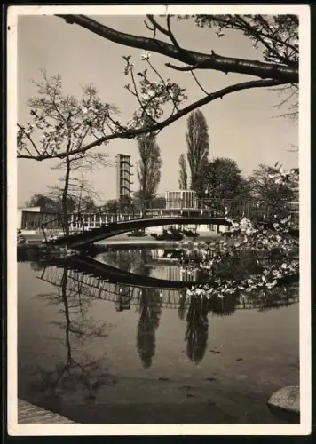 AK Hamburg, Gartenbau-Ausstellung 1953, Partie am Rundteich mit Blick über die Ausstellungshallen zum Philips-Turm
