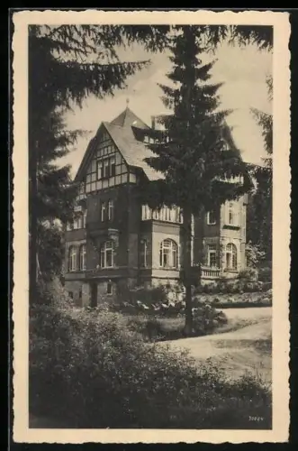 AK Schierke im Harz, Gasthaus und Pension Assmann