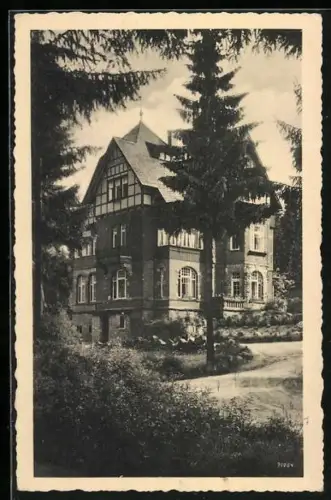 AK Schierke im Harz, Gasthaus und Pension Assmann