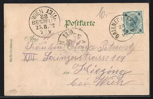 AK Gallneukirchen, Gesamtansicht mit Starhemberg`sches Schloss Ridegg