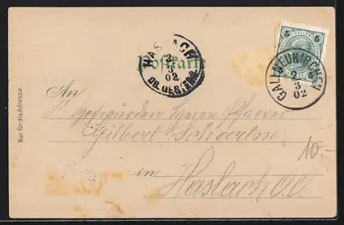 AK Gallneukirchen, Schloss Riedegg, Teilansicht mit Kirche