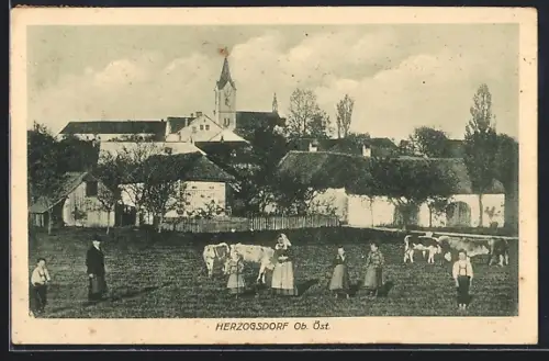 AK Herzogsdorf, Bauernfamilie auf dem Acker zusammen mit Kühen