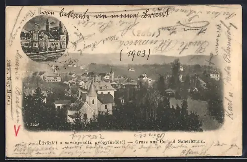 AK Bad Sauerbrunn, Blick über die Dächer