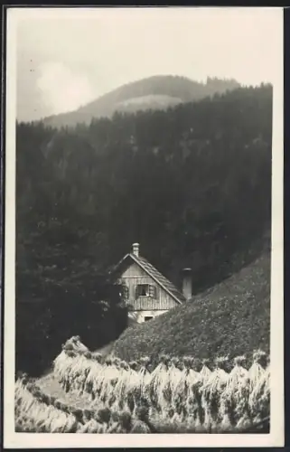 AK Prein an der Rax, Preiner-Gscheid, Rosa Gruber`s Gasthaus von Anhöhe mit Heuballen