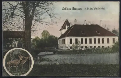AK Grossau, Blick auf das Schloss, Rehe
