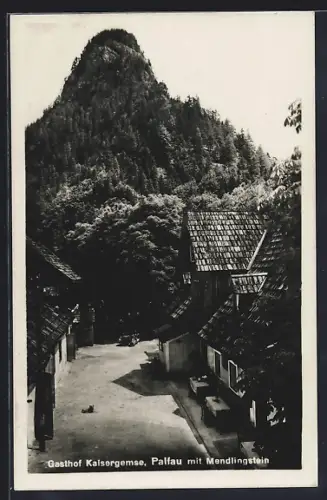 AK Palfau, Gasthof Kaisergemse mit Mendlingstein