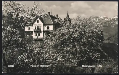 AK Reichenau, Pension Bellevue mit Kirchturm
