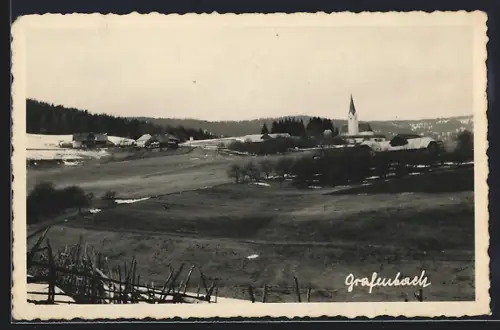 AK Grafenbach, Ortsansicht mit Wiesen