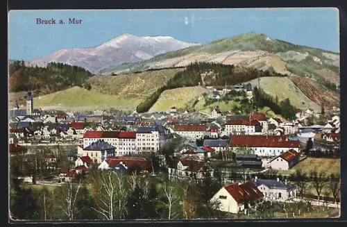 AK Bruck a. Mur, Totalansicht mit Bergpanorama