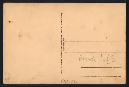 AK Friedeberg /Nm., Partie am Untersee