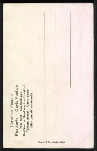 Lithographie Neapel / Napoli, Musiker mit Tamburin & Laute