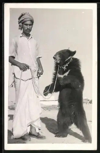 AK Karachi, Bear Dance, Tanzbär