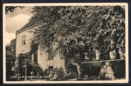 AK Arkel, J. H. de Pinksterblom