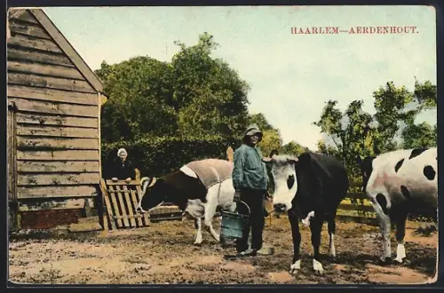 AK Haarlem, Aerdenhout
