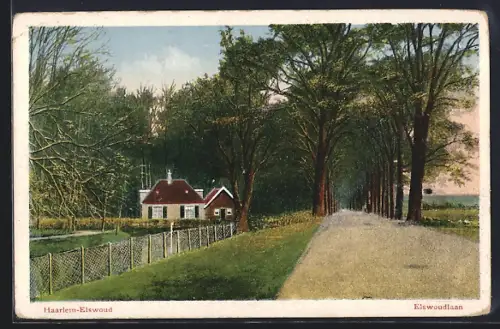 AK Haarlem-Eiswoud, Eiswoudlaan