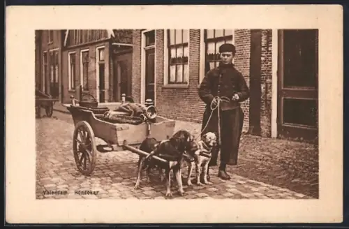 AK Volendam, Hondekar