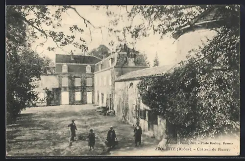 AK Azolette /Rhône, Château du Plumet et ses environs