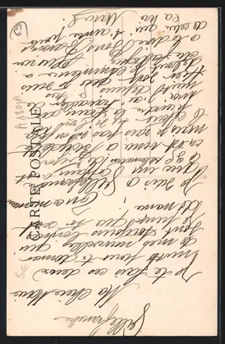 AK Villefranche-sur-Saône, Vue générale et décor de branches fleuries