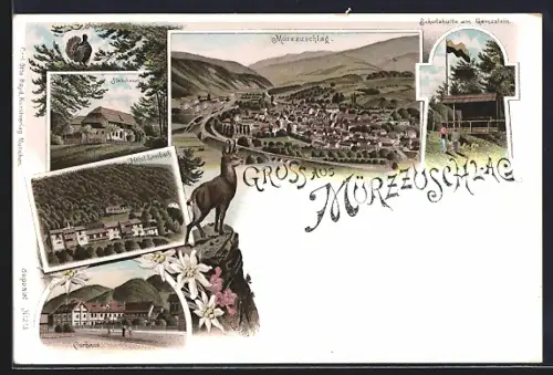 Lithographie Mürzzuschlag, Hotel Lambach, Curhaus, Steinbauer