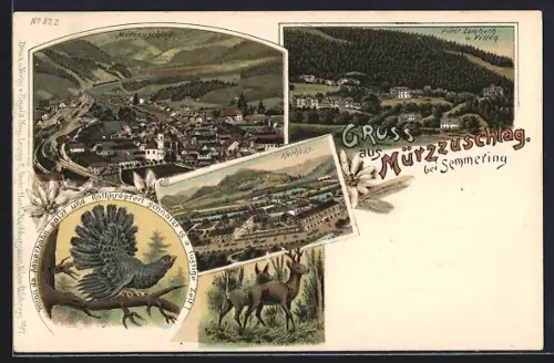 Lithographie Mürzzuschlag, Kurhaus, Hotel Lambach u. Villen, Auerhahn, Panorama