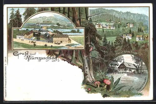Lithographie Mürzzuschlag, Hotel Lambach, Curhaus, Steinbauer, Pilze