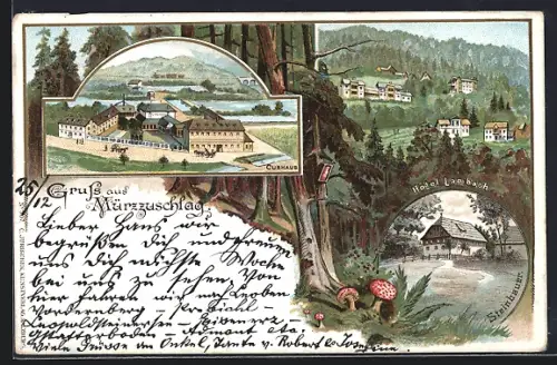 Lithographie Mürzzuschlag, Hotel Lambach, Curhaus, Steinbauer, Pilze