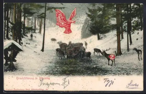 AK Mürzsteg, Waldpartie mit Hirschfütterung im Winter