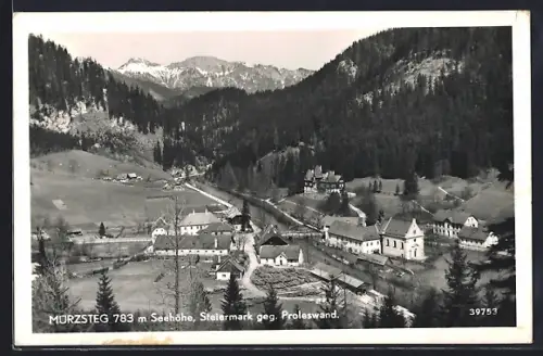 AK Mürzsteg, Ortsansicht gegen Proleswand aus der Vogelschau