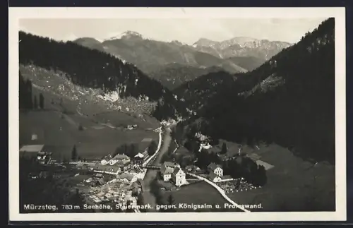 AK Mürzsteg, Gesamtansicht gegen Königsalm