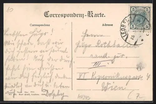 AK Leoben, Ortsansicht