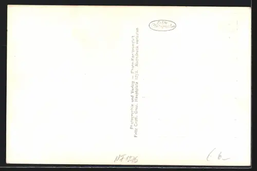 AK Graz, Hilmteich mit Uferweg und Ruderbooten