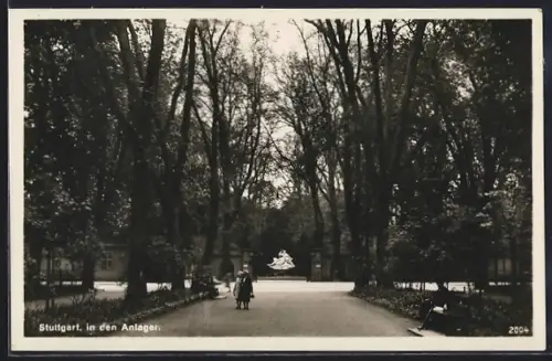 AK Stuttgart, In den Anlagen
