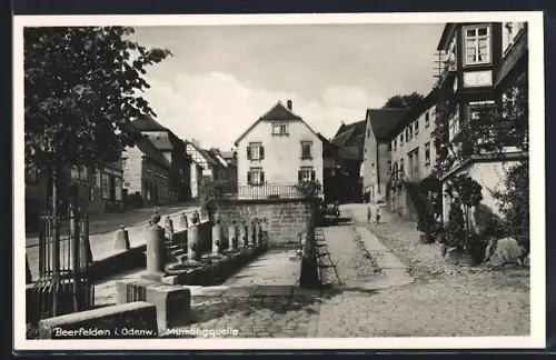 AK Beerfelden i. Odenw., Mümlingquelle