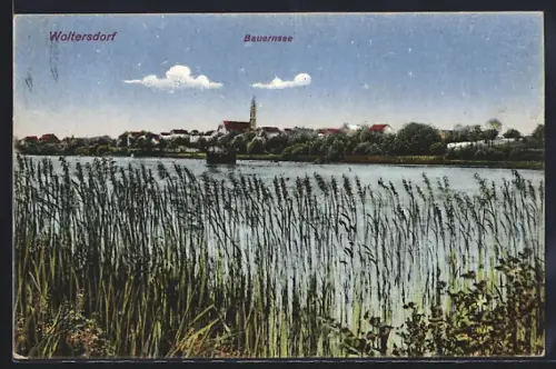 AK Woltersdorf / Mark, Blick über den Bauersee zum Ort
