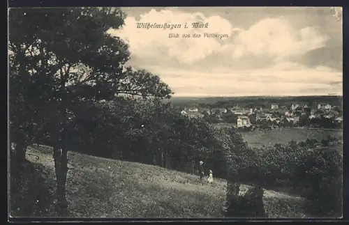 AK Berlin-Wilhelmshagen i. Mark, Blick von den Püttbergen