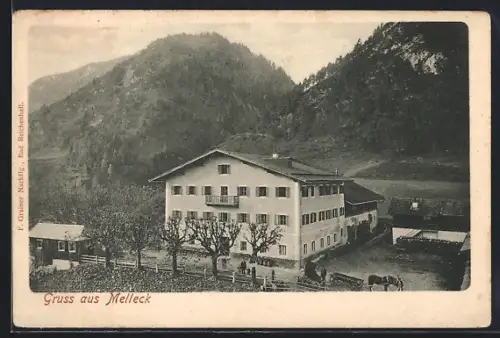 AK Melleck, Gutshaus mit Kutsche und Gehöft, Gebirgsmassiv