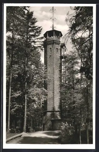 AK Heidelberg, Königstuhl, Turm mit Besuchern