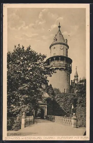 AK Wiesenburg / Mark, Schloss - Auffahrt mit Turm
