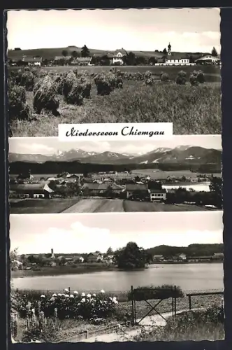 AK Niederseeon /Chiemgau, Ortsansichten mit See u. Bergpanorama