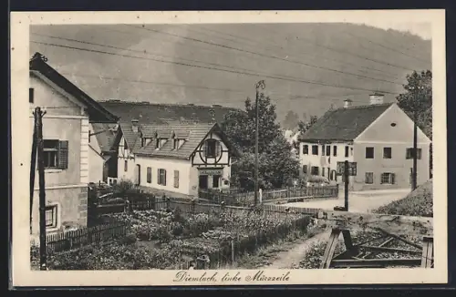 AK Diemlach, Geschäft P. A. Reicher in der linken Mürzzeile