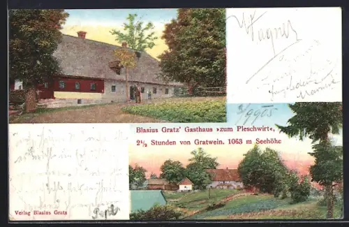 AK Gratwein, Blasius Gratz`s Gasthaus Zum Pleschwirt